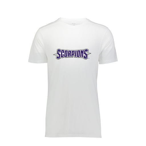 [FTSCUBWH-YS-LOGO1] Decker Youth Tri-Blend T-Shirt - Short Sleeve (Youth S, White, Logo 1)